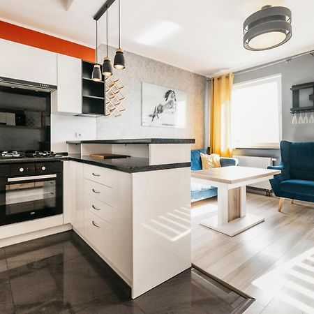 Nocosfera Apartament Stawiszynski Kaliszki エクステリア 写真