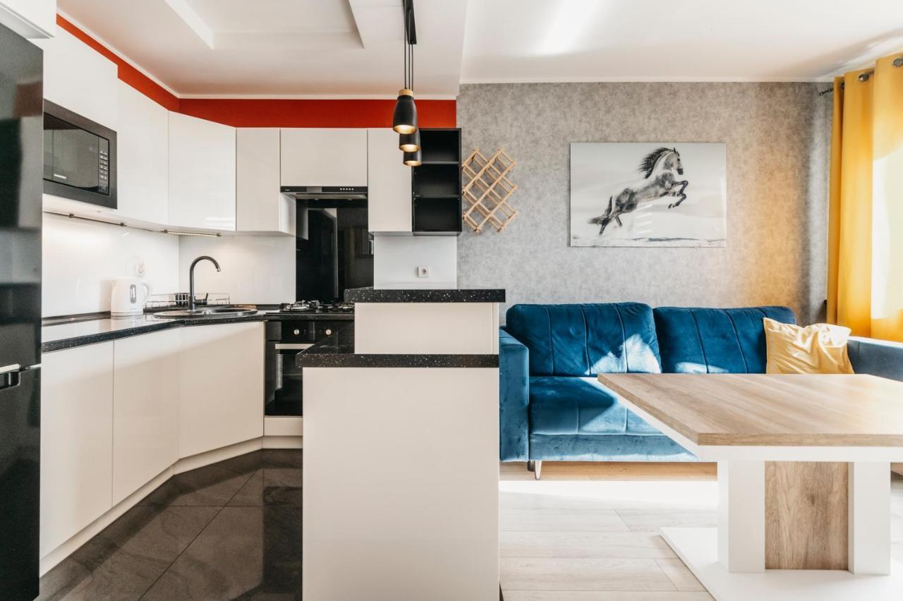 Nocosfera Apartament Stawiszynski Kaliszki エクステリア 写真