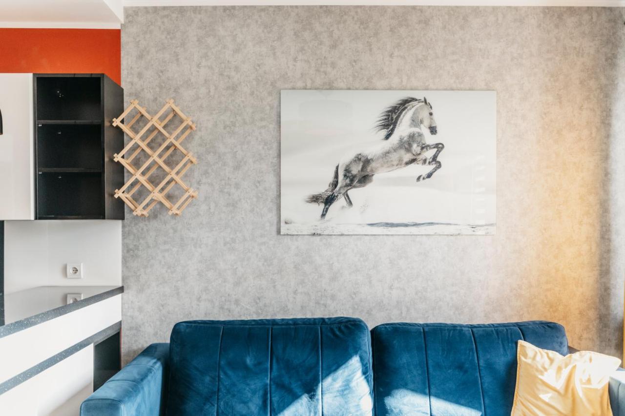 Nocosfera Apartament Stawiszynski Kaliszki エクステリア 写真